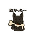 黒犬通信。気持ち代弁中。家族や仲間と（個別スタンプ：20）