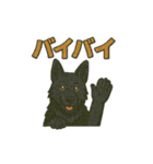 黒犬通信。気持ち代弁中。家族や仲間と（個別スタンプ：29）