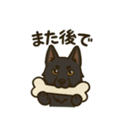 黒犬通信。気持ち代弁中。家族や仲間と（個別スタンプ：31）