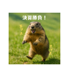 個人投資家のマーモット【エッホエッホ！】（個別スタンプ：8）