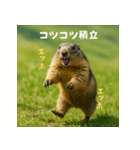 個人投資家のマーモット【エッホエッホ！】（個別スタンプ：30）