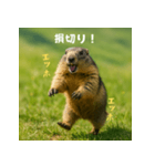 個人投資家のマーモット【エッホエッホ！】（個別スタンプ：32）