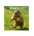 個人投資家のマーモット【エッホエッホ！】（個別スタンプ：33）