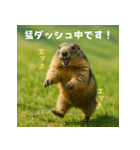 遅刻するマーモット：エッホエッホ（個別スタンプ：27）