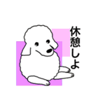 プープーヨーキーのスタンプ その3（個別スタンプ：9）