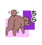 プープーヨーキーのスタンプ その3（個別スタンプ：15）