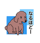 プープーヨーキーのスタンプ その3（個別スタンプ：16）