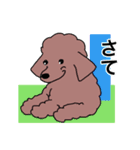 プープーヨーキーのスタンプ その3（個別スタンプ：17）