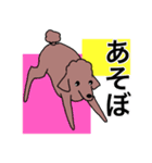 プープーヨーキーのスタンプ その3（個別スタンプ：20）