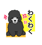 プープーヨーキーのスタンプ その3（個別スタンプ：35）