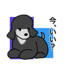 プープーヨーキーのスタンプ その3（個別スタンプ：36）