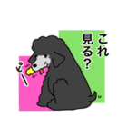 プープーヨーキーのスタンプ その3（個別スタンプ：38）