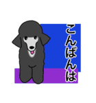 プープーヨーキーのスタンプ その3（個別スタンプ：40）