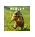 課長を慕うマーモット：エッホエッホ（個別スタンプ：7）