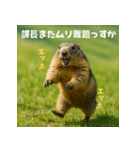 課長を慕うマーモット：エッホエッホ（個別スタンプ：12）