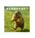 課長を慕うマーモット：エッホエッホ（個別スタンプ：14）
