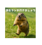 課長を慕うマーモット：エッホエッホ（個別スタンプ：15）