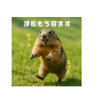 課長を慕うマーモット：エッホエッホ（個別スタンプ：32）
