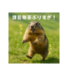 課長を慕うマーモット：エッホエッホ（個別スタンプ：39）