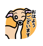 【フォーン3】1年中使えるイタグレスタンプ（個別スタンプ：1）