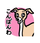 【フォーン3】1年中使えるイタグレスタンプ（個別スタンプ：3）