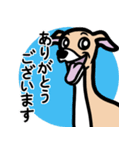 【フォーン3】1年中使えるイタグレスタンプ（個別スタンプ：5）