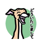 【フォーン3】1年中使えるイタグレスタンプ（個別スタンプ：6）