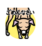 【フォーン3】1年中使えるイタグレスタンプ（個別スタンプ：7）