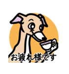 【フォーン3】1年中使えるイタグレスタンプ（個別スタンプ：8）