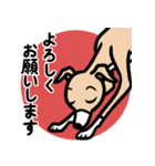 【フォーン3】1年中使えるイタグレスタンプ（個別スタンプ：9）