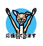 【フォーン3】1年中使えるイタグレスタンプ（個別スタンプ：12）