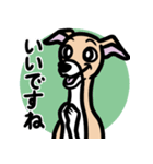 【フォーン3】1年中使えるイタグレスタンプ（個別スタンプ：13）
