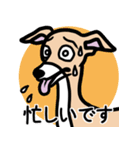 【フォーン3】1年中使えるイタグレスタンプ（個別スタンプ：22）
