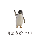 おもしろ動物たちのクセ強スタンプ(男子用)（個別スタンプ：3）