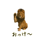 おもしろ動物たちのクセ強スタンプ(男子用)（個別スタンプ：4）