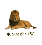 おもしろ動物たちのクセ強スタンプ(男子用)（個別スタンプ：5）
