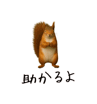 おもしろ動物たちのクセ強スタンプ(男子用)（個別スタンプ：25）