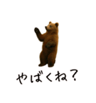 おもしろ動物たちのクセ強スタンプ(男子用)（個別スタンプ：38）
