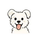 顔で語る犬さま（個別スタンプ：1）