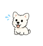 顔で語る犬さま（個別スタンプ：8）