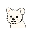 顔で語る犬さま（個別スタンプ：9）