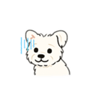 顔で語る犬さま（個別スタンプ：10）