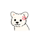顔で語る犬さま（個別スタンプ：11）