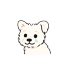 顔で語る犬さま（個別スタンプ：12）