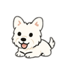 顔で語る犬さま（個別スタンプ：13）