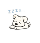 顔で語る犬さま（個別スタンプ：22）