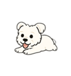 顔で語る犬さま（個別スタンプ：23）