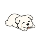 顔で語る犬さま（個別スタンプ：24）