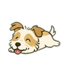 顔で語る犬さま②（個別スタンプ：15）