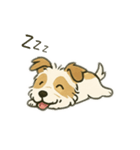 顔で語る犬さま②（個別スタンプ：16）